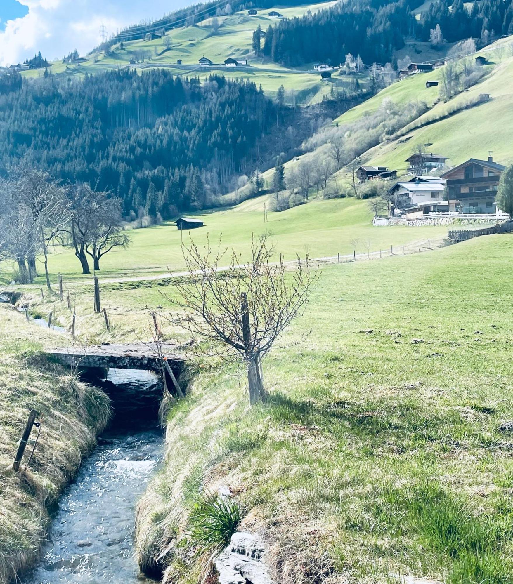 Apartment Weitblick Wald im Pinzgau Extérieur photo
